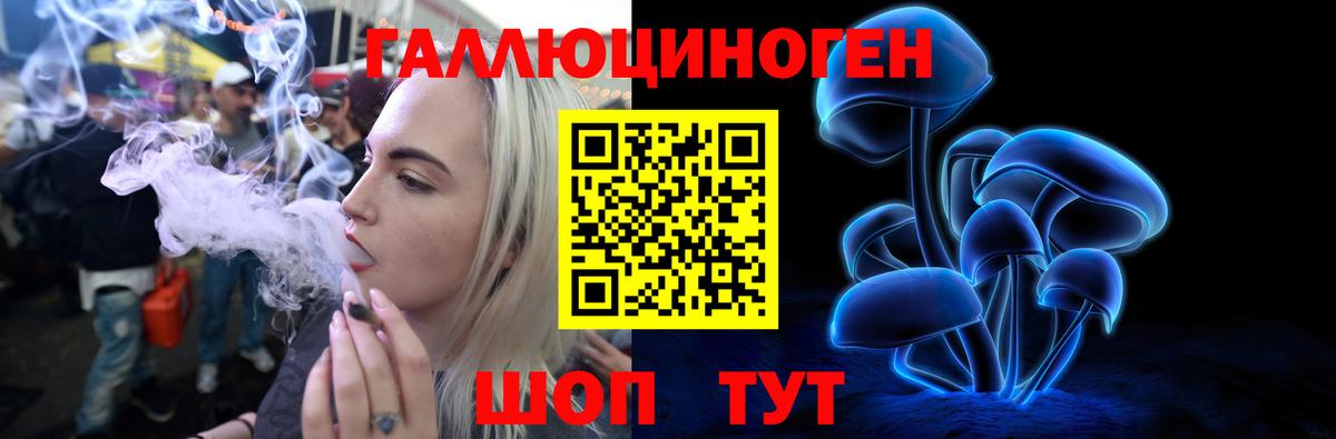 Галлюциногенные грибы Cubensis Анжеро-Судженск